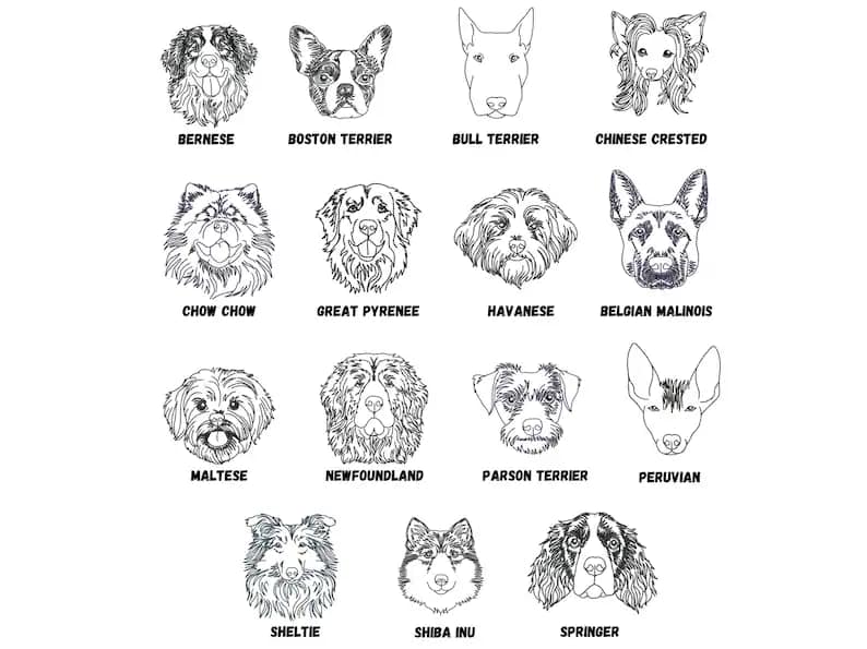 CUSTOM: Dog / Cat Embroidered Sweatshirt