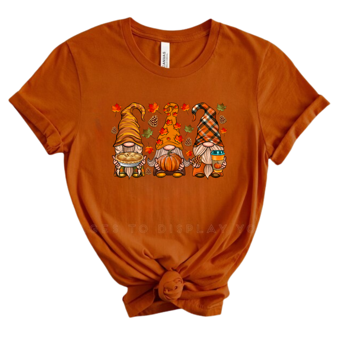 Thanksgiving Gnomes